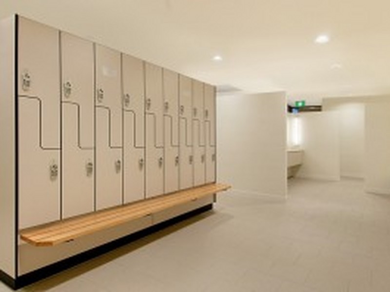 17 Viola Square, Peregian Springs QLD 4573