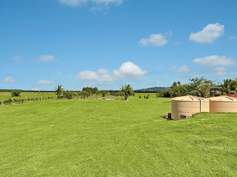 33 Rickard Road, Yandina Creek QLD 4561