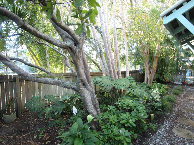 1/30 Ramilles St., Mount Coolum QLD 4573