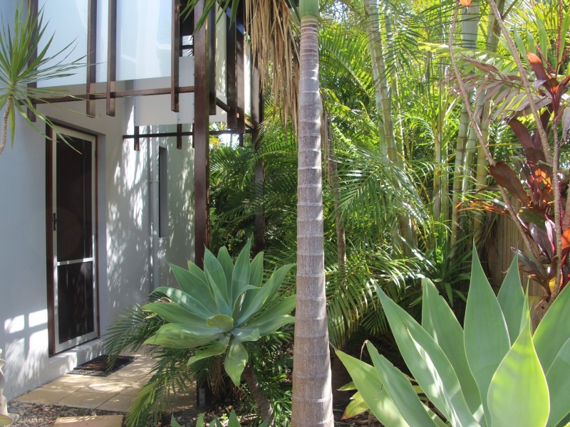 32 Boardrider Cres., Mount Coolum QLD 4573