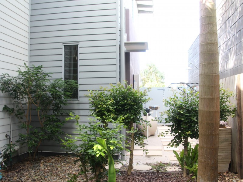 32 Boardrider Cres., Mount Coolum QLD 4573