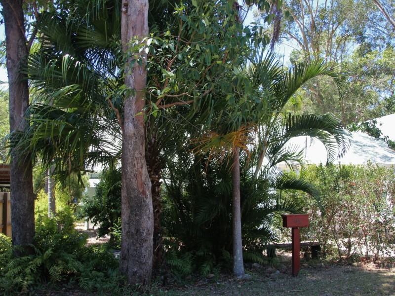 62 Warran Road, Yaroomba QLD 4573