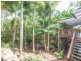 12 Carrock Court, Mount Coolum QLD 4573