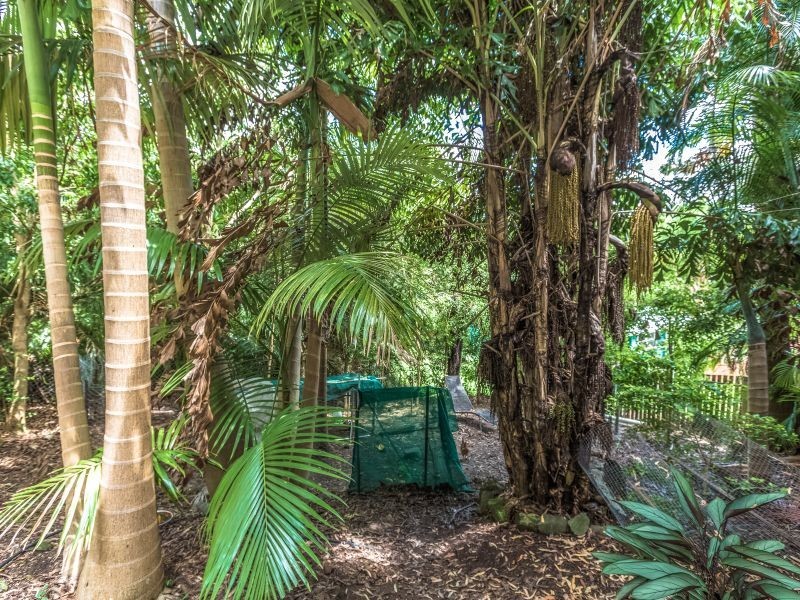 12 Carrock Court, Mount Coolum QLD 4573