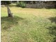 79 Toolga Street, Mount Coolum QLD 4573