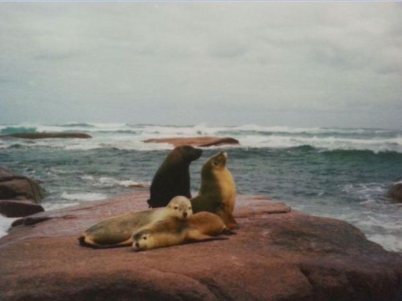 13 Eyrie Terrace, Coolum Beach QLD 4573