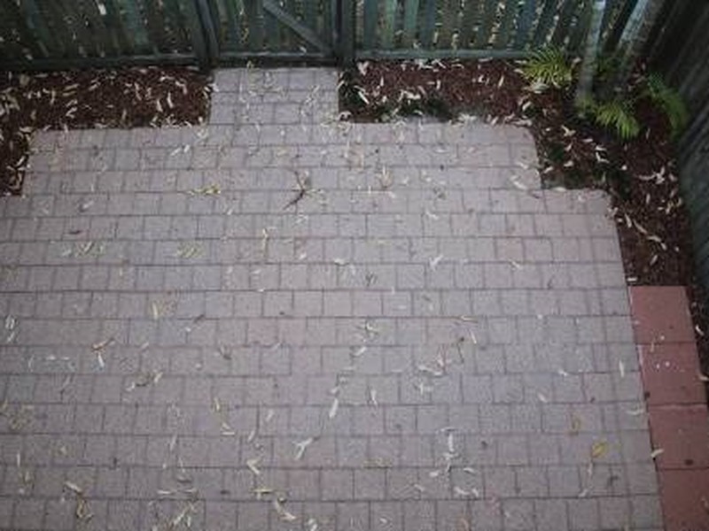 44/1 Poinsettia Ct., Mooloolaba QLD 4557