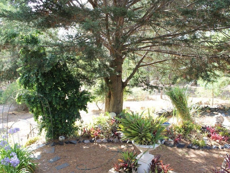 53 Diorite St, Greenbushes WA 6254