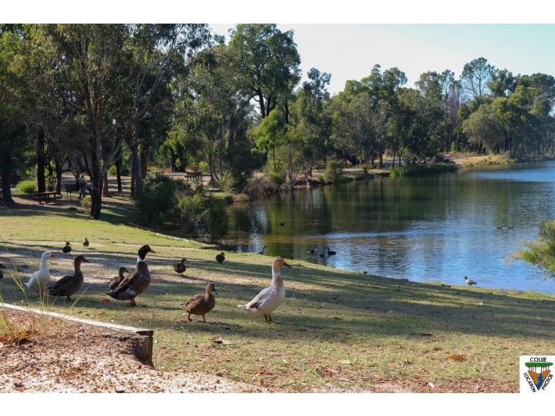 16 Cunningham Crescent, Collie WA 6225