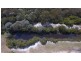 Lot 13/ Bussell Highway, Ludlow WA 6280