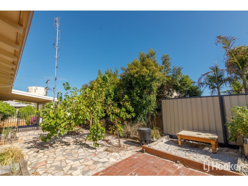 20 Milligan Avenue, Australind WA 6233