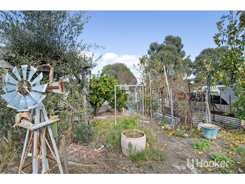 56 Porter Street, Collie WA 6225