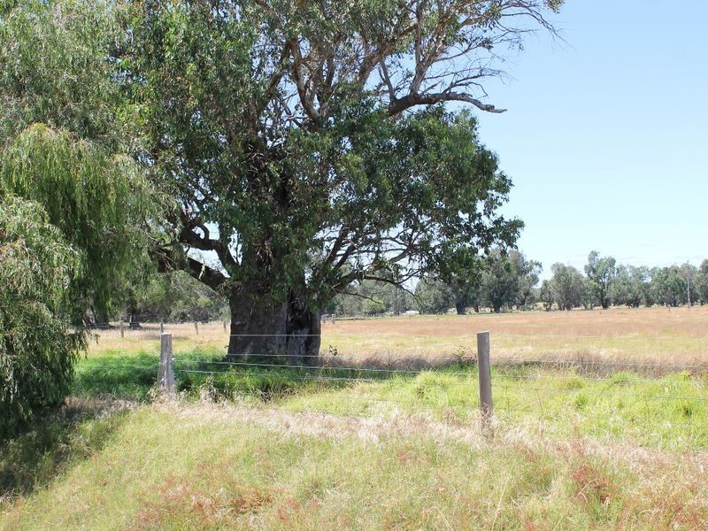 1 Harold Douglas Drive, Dardanup WA 6236