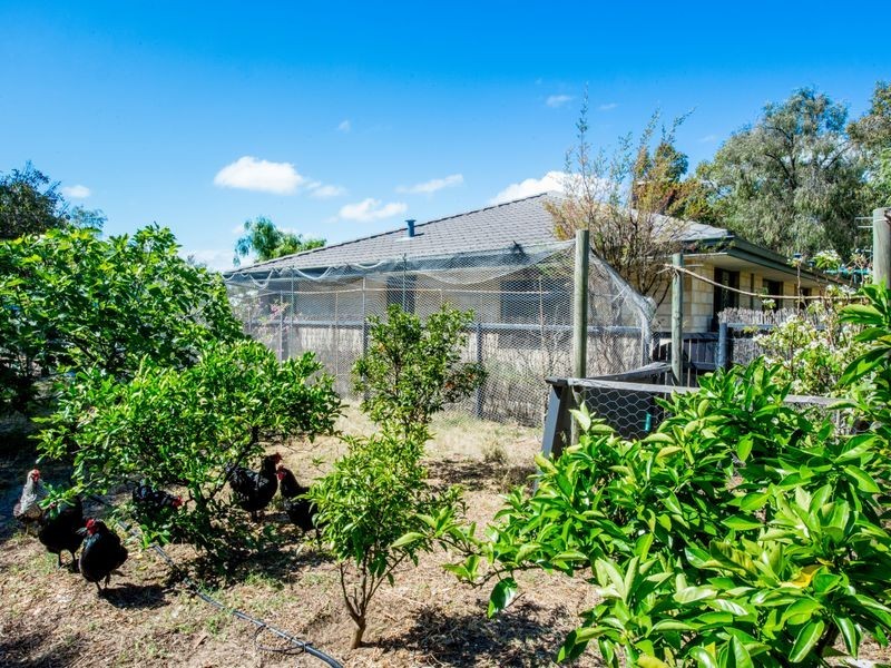 11 Abbeygate Street, Australind WA 6233
