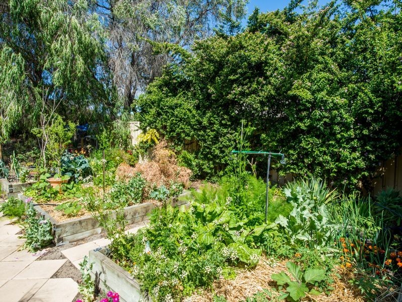 11 Abbeygate Street, Australind WA 6233