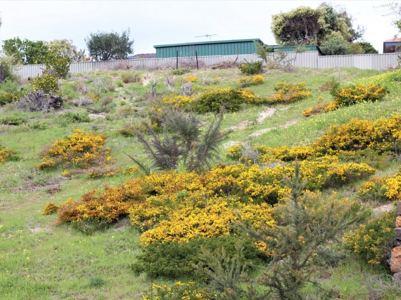 27 Hoylake Avenue, South Bunbury WA 6230