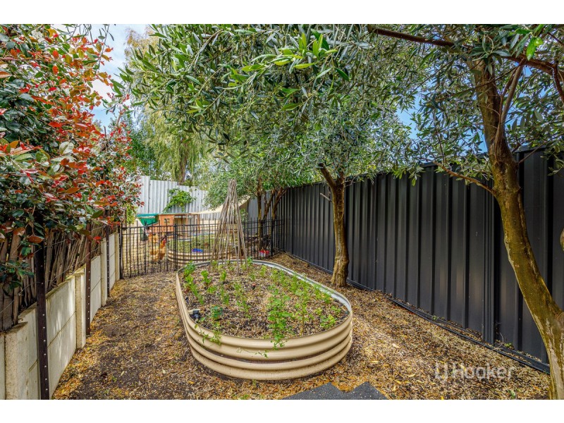 5 Scott Street, Eaton WA 6232