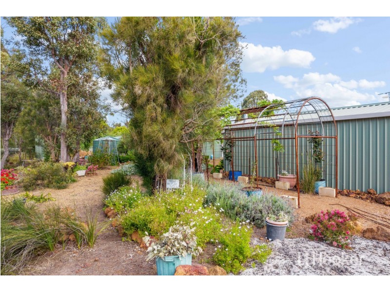 24 Dudley Street, Collie WA 6225