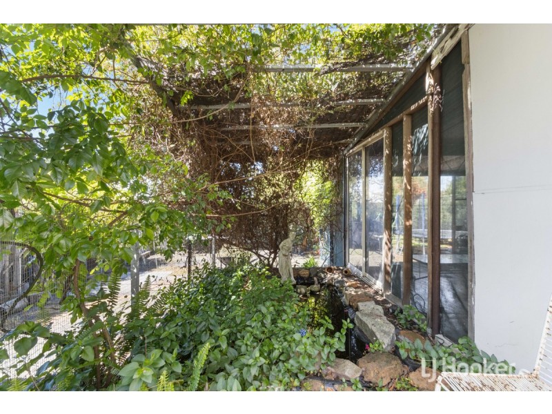 61 Mckinley Street, Collie WA 6225