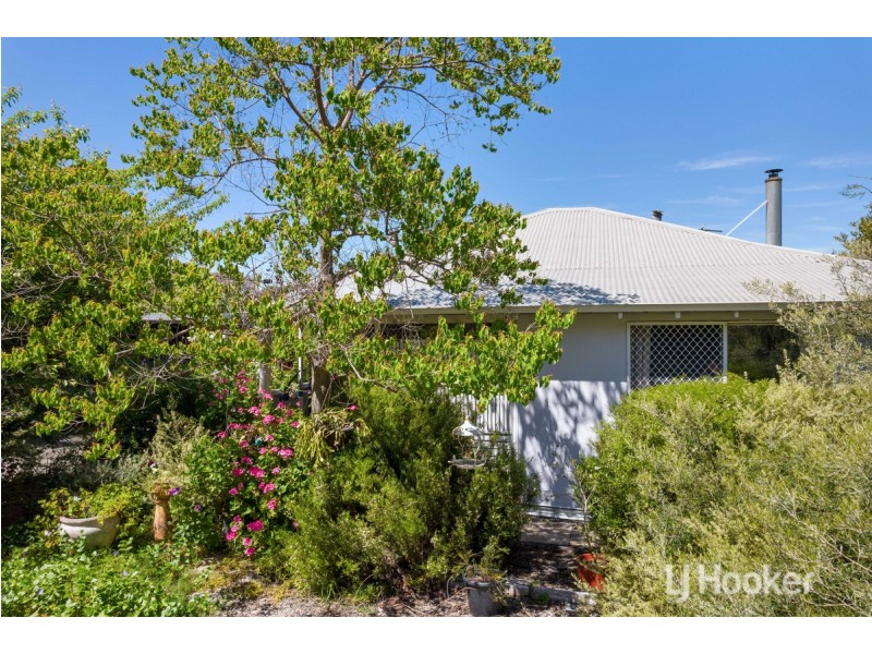 61 Mckinley Street, Collie WA 6225