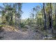 Lot 1433 Clifford Street, Collie WA 6225