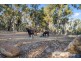 Lot 1433 Clifford Street, Collie WA 6225