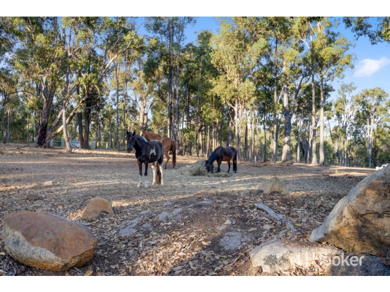 Lot 1433 Clifford Street, Collie WA 6225