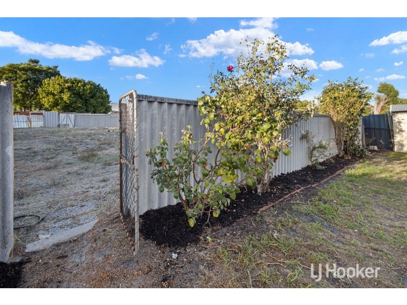 16 Ogden Street, Collie WA 6225