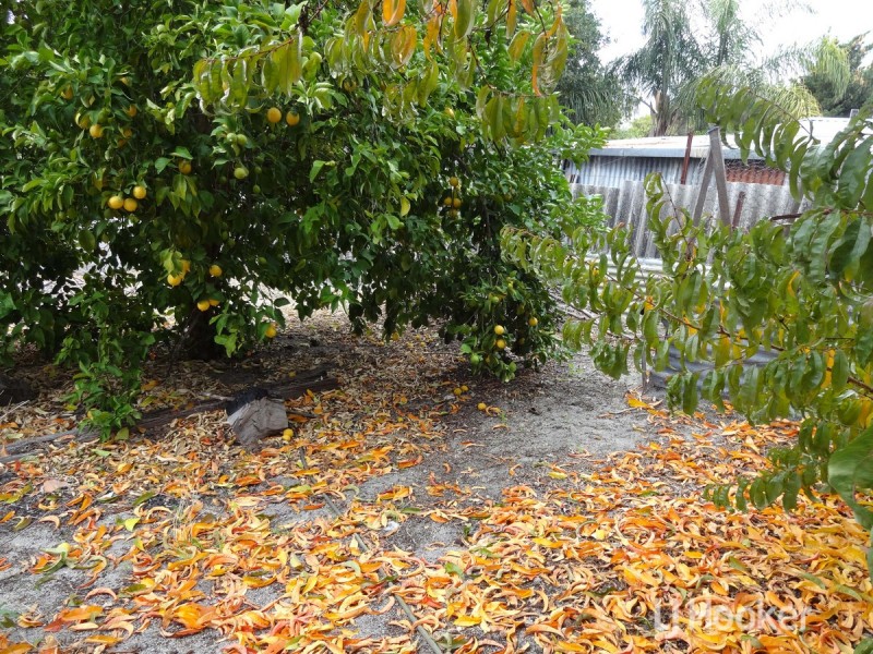 18 Caulfield Street, Collie WA 6225