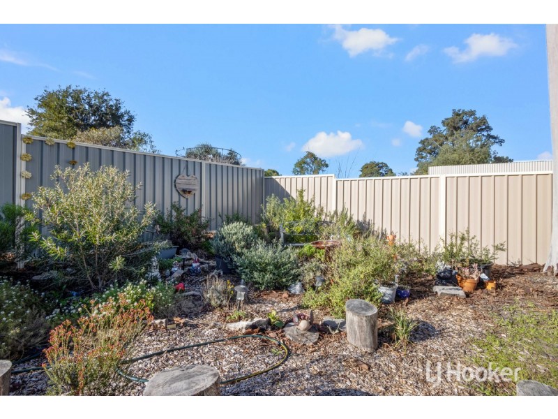 10 Doyle Street, Collie WA 6225