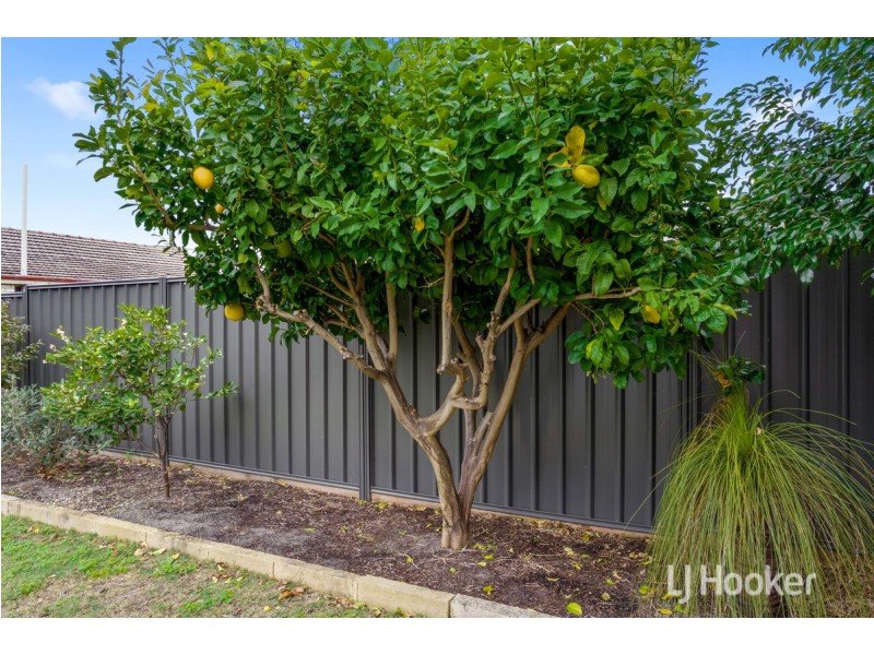 32 Balgore Way, Carey Park WA 6230