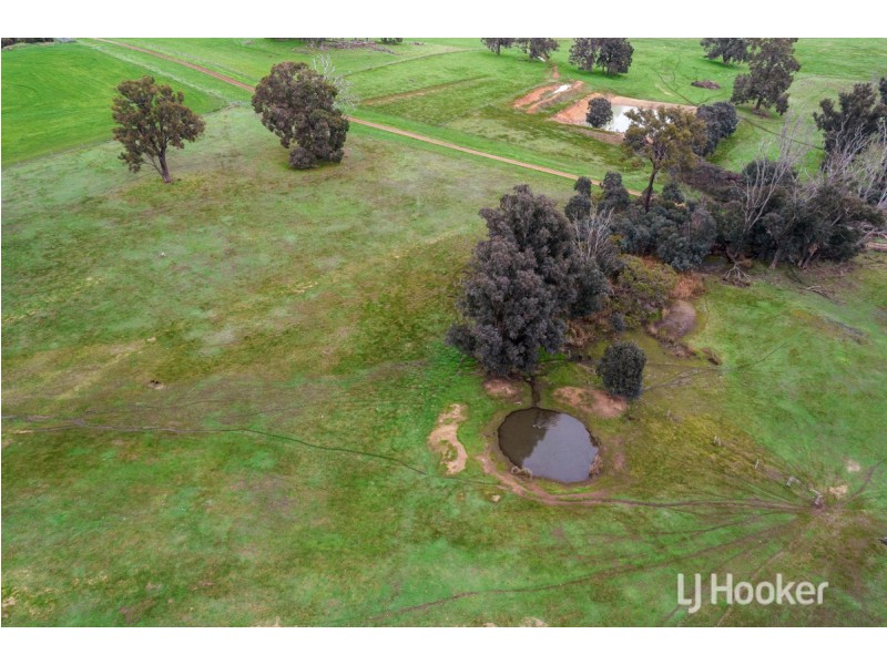 3804 Donnybrook-Boyup Brook Road, Noggerup WA 6225