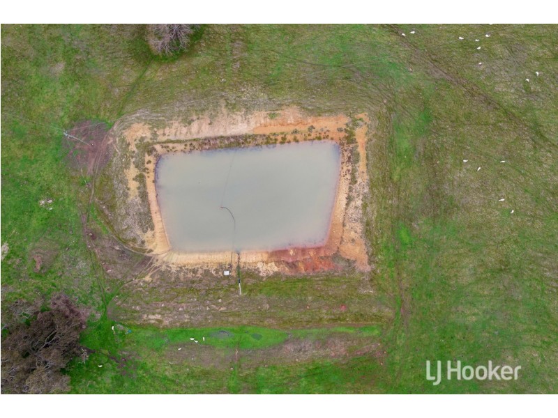 3804 Donnybrook-Boyup Brook Road, Noggerup WA 6225