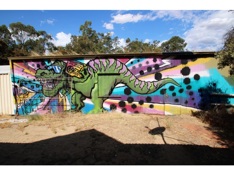 20 Payne Road, Capel WA 6271