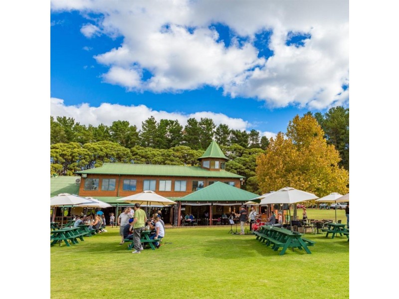 37 Wildberry Road, Wilyabrup WA 6280