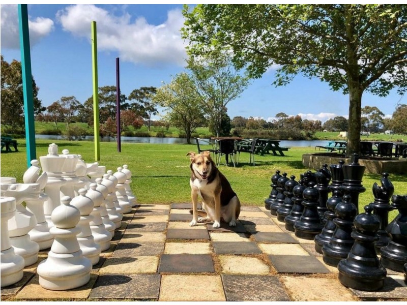 37 Wildberry Road, Wilyabrup WA 6280