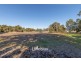 31 Christmas Tree Court, North Boyanup WA 6237
