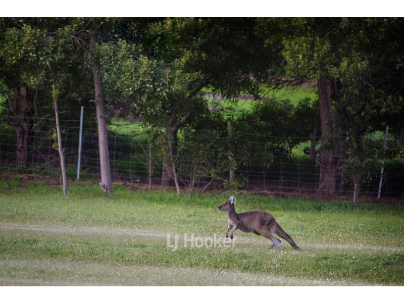 109 Summerville Crescent, Yallingup Siding WA 6282