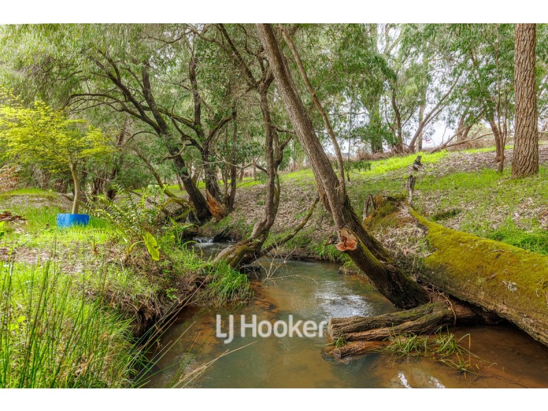 74 Japonica View, Wellington Mill WA 6236