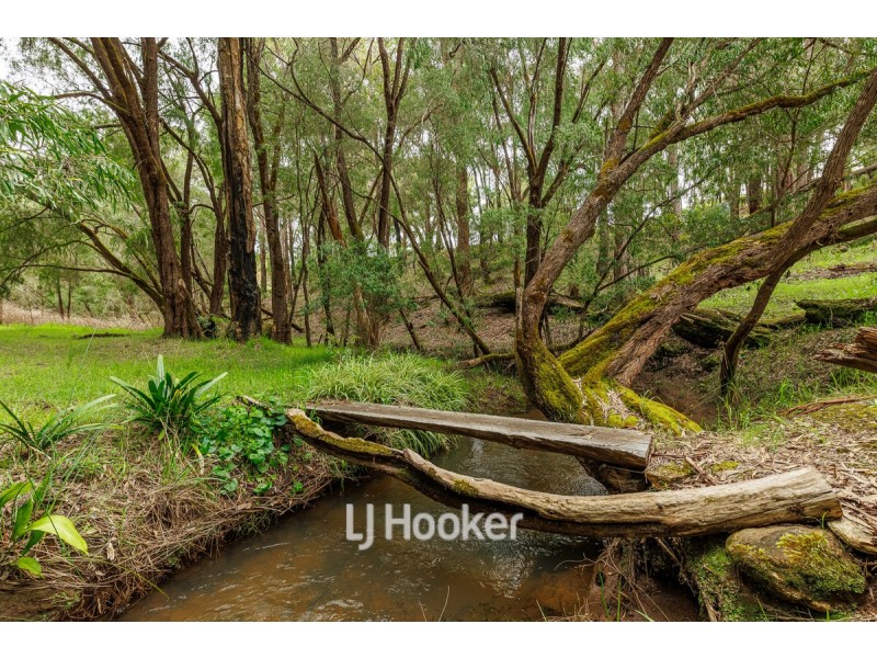 74 Japonica View, Wellington Mill WA 6236