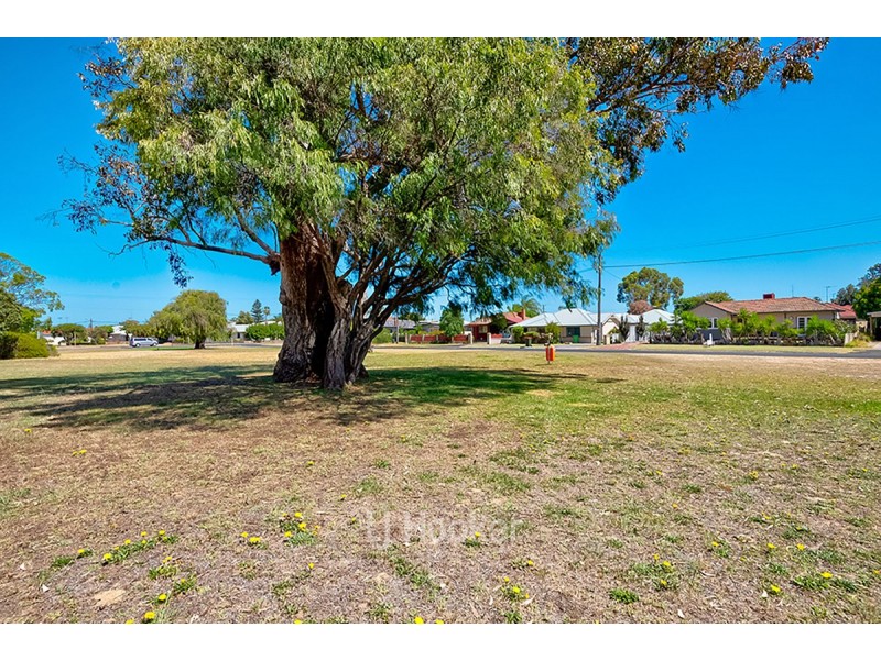 56 Wisbey Street, Carey Park WA 6230