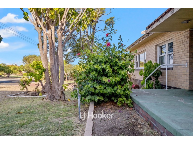 12 Willoughby Street, South Bunbury WA 6230