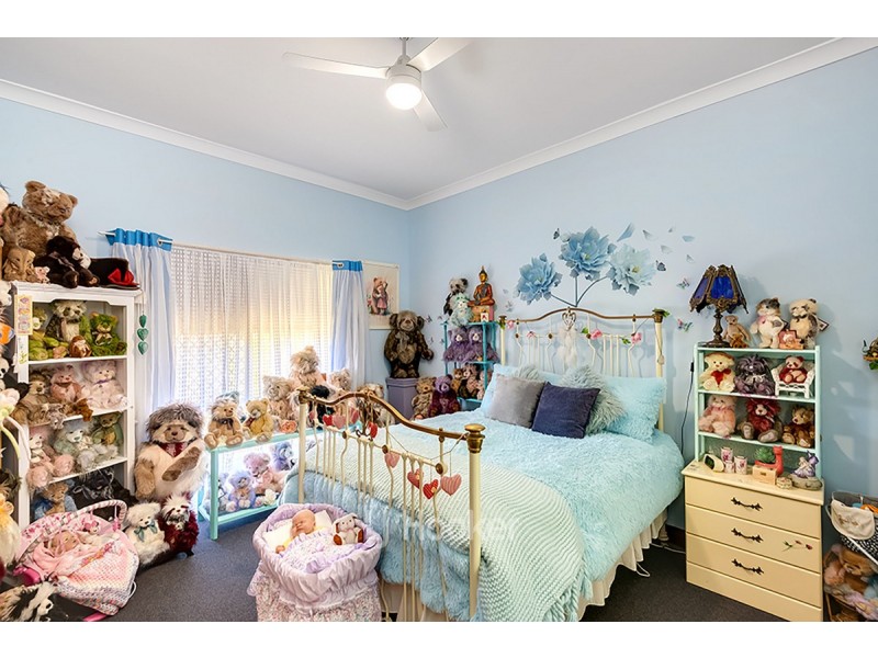 247 Steere Street North, Collie WA 6225