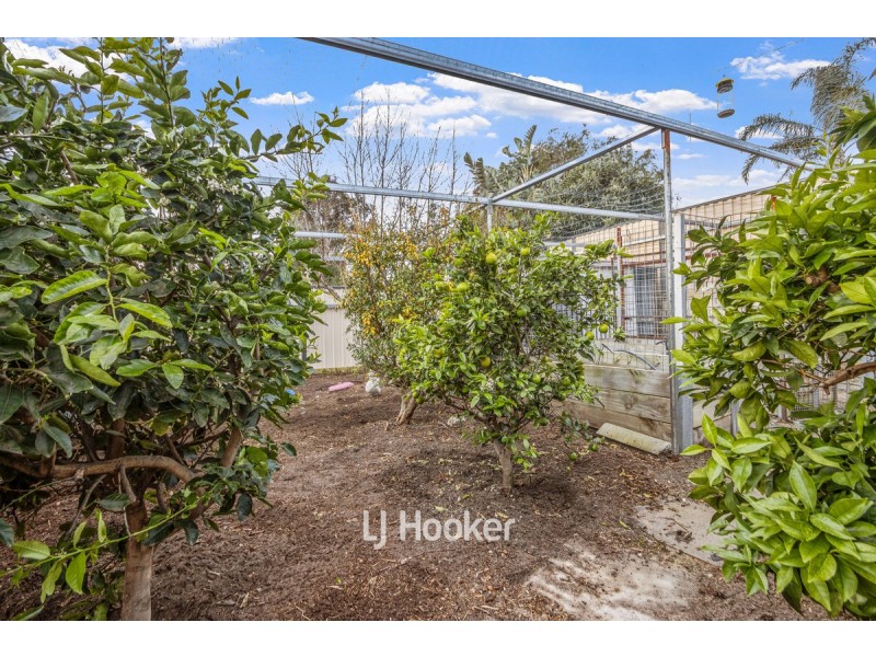 33 Casuarina Street, Eaton WA 6232
