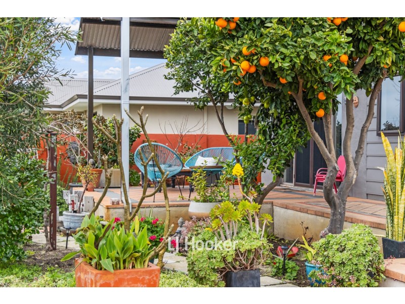 1 Austin Street, South Bunbury WA 6230