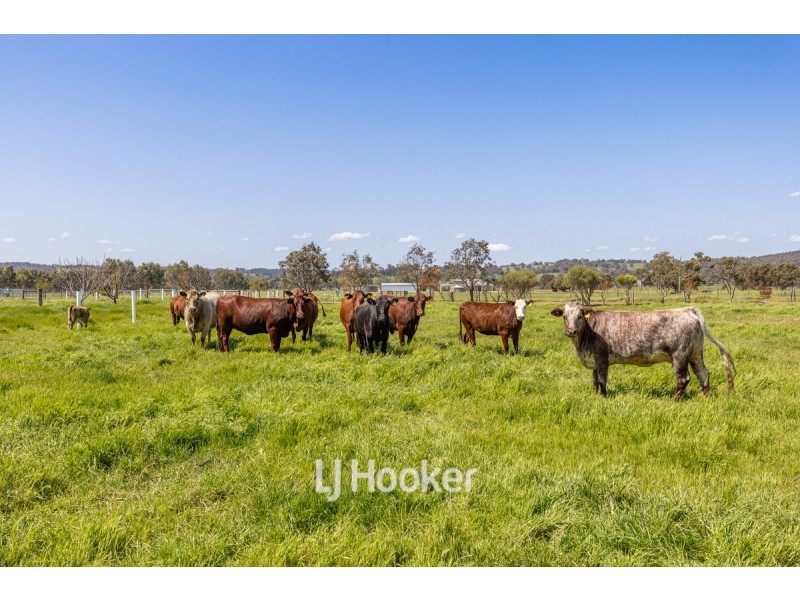 148 Partridge Road, Benger WA 6223