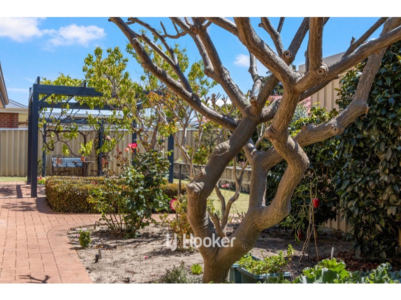 8 Cummins Place, South Bunbury WA 6230