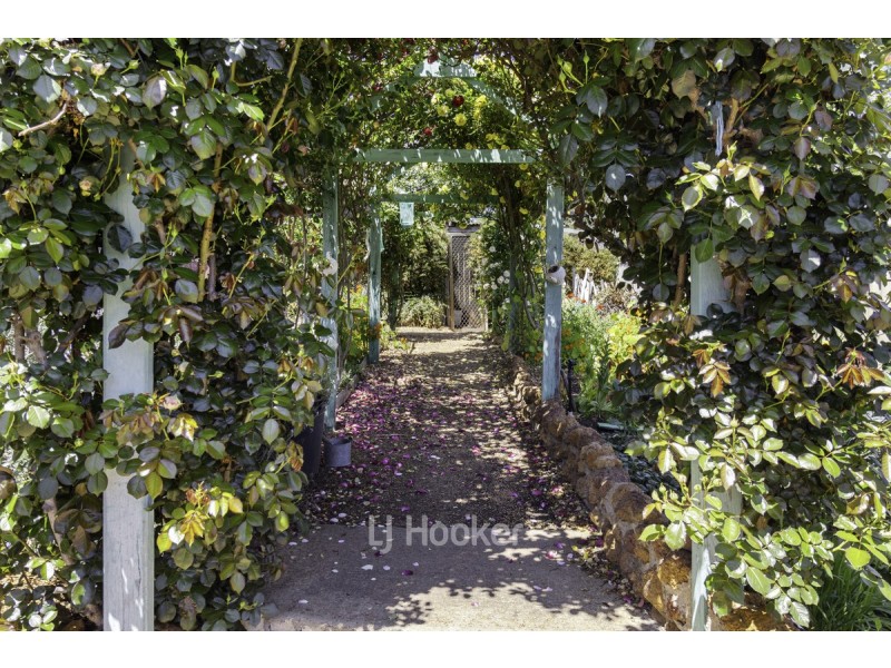 39 Burrowes Street, Darkan WA 6392