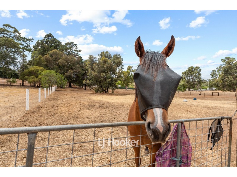 90 Foster Street, Collie WA 6225