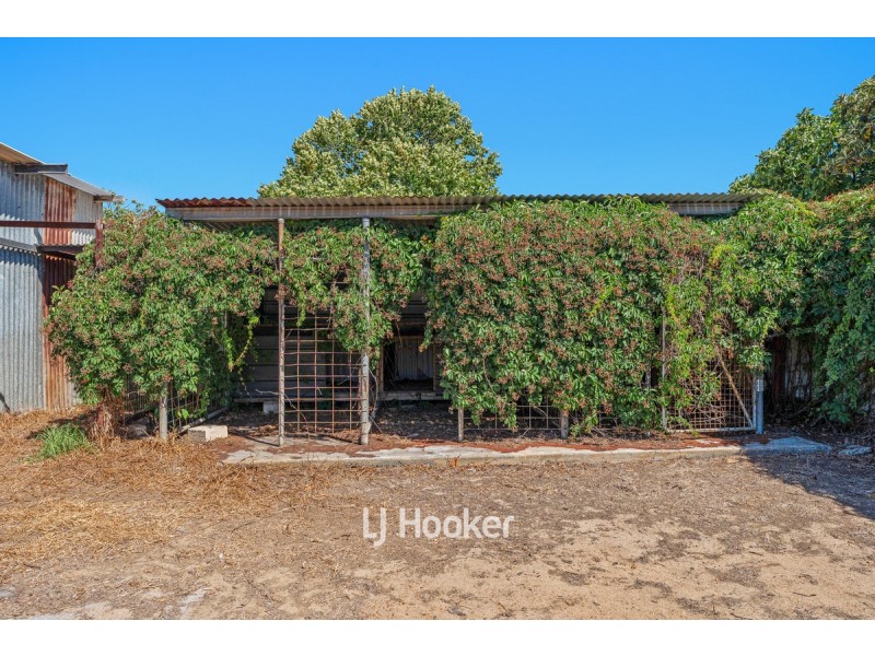 84 Ogden Street, Collie WA 6225